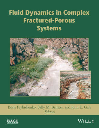 Группа авторов. Fluid Dynamics in Complex Fractured-Porous Systems