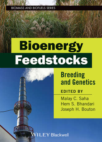 Группа авторов. Bioenergy Feedstocks