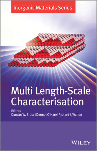Группа авторов. Multi Length-Scale Characterisation