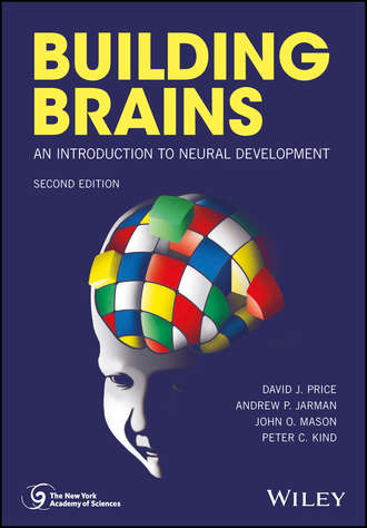 David J. Price. Building Brains