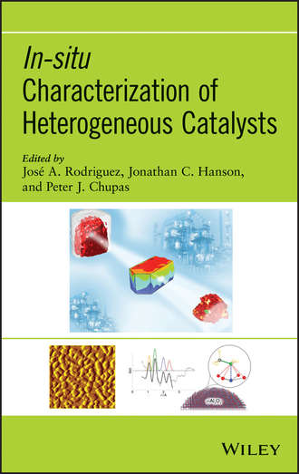 Группа авторов. In-situ Characterization of Heterogeneous Catalysts