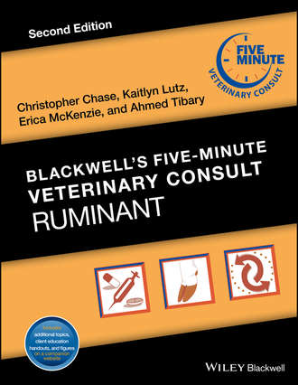 Группа авторов. Blackwell's Five-Minute Veterinary Consult: Ruminant