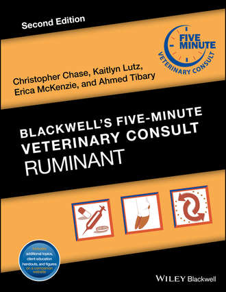 Blackwell's Five-Minute Veterinary Consult: Ruminant. Группа авторов