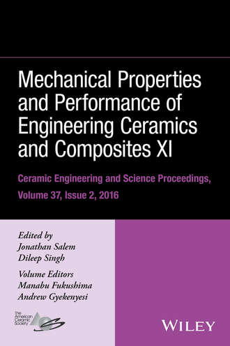 Группа авторов. Mechanical Properties and Performance of Engineering Ceramics and Composites XI, Volume 37, Issue 2