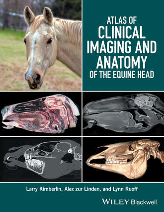 Larry Kimberlin. Atlas of Clinical Imaging and Anatomy of the Equine Head