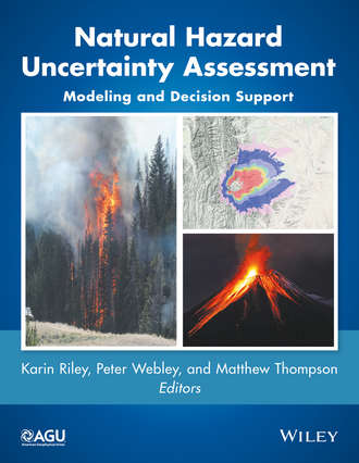 Группа авторов. Natural Hazard Uncertainty Assessment