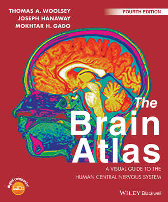 Thomas A. Woolsey. The Brain Atlas