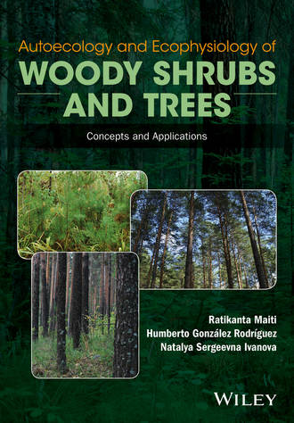 Ratikanta Maiti. Autoecology and Ecophysiology of Woody Shrubs and Trees