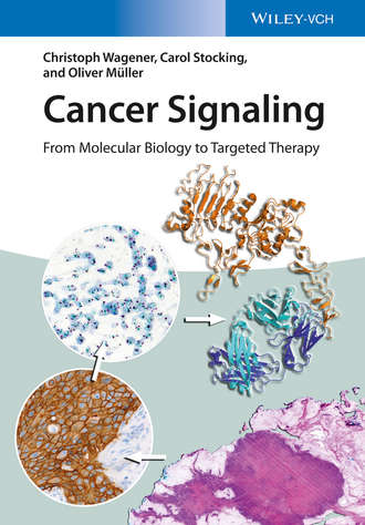Oliver M?ller. Cancer Signaling, Enhanced Edition