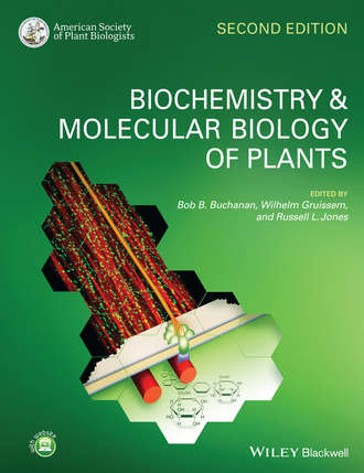 Группа авторов. Biochemistry and Molecular Biology of Plants