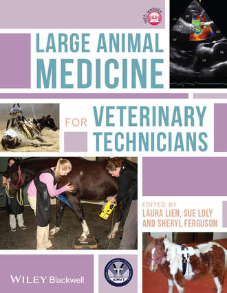 Группа авторов. Large Animal Medicine for Veterinary Technicians