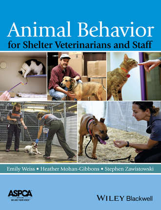 Группа авторов. Animal Behavior for Shelter Veterinarians and Staff