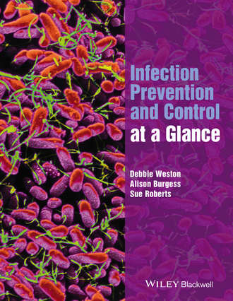 Sue Roberts. Infection Prevention and Control at a Glance