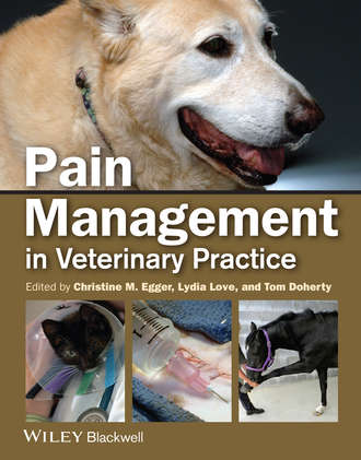 Группа авторов. Pain Management in Veterinary Practice