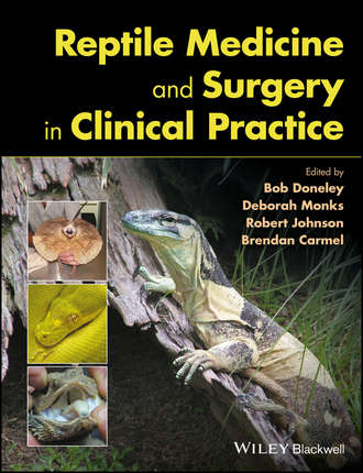 Группа авторов. Reptile Medicine and Surgery in Clinical Practice