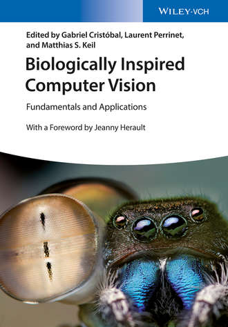Группа авторов. Biologically Inspired Computer Vision