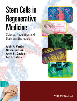 Группа авторов. Stem Cells in Regenerative Medicine
