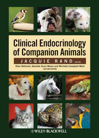 Группа авторов. Clinical Endocrinology of Companion Animals