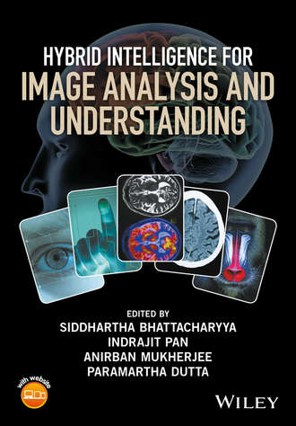 Группа авторов. Hybrid Intelligence for Image Analysis and Understanding