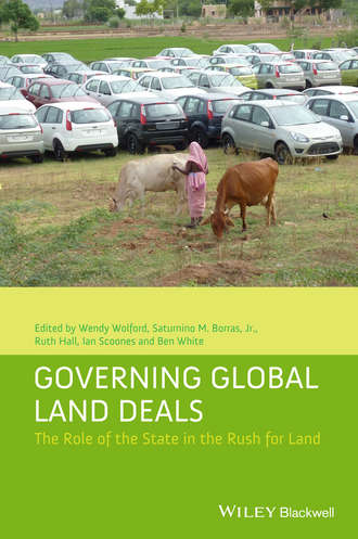 Группа авторов. Governing Global Land Deals