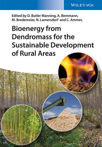 Группа авторов. Bioenergy from Dendromass for the Sustainable Development of Rural Areas