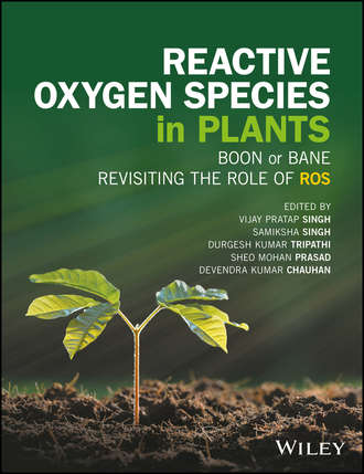 Группа авторов. Reactive Oxygen Species in Plants