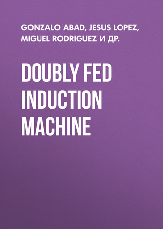 Doubly Fed Induction Machine. Gonzalo Abad