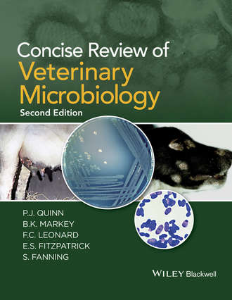 S.  Fanning. Concise Review of Veterinary Microbiology