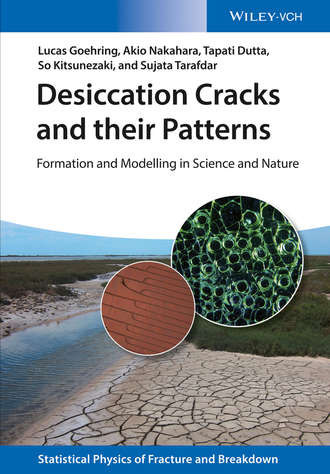 Tapati  Dutta. Desiccation Cracks and their Patterns