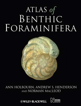 Norman Macleod. Atlas of Benthic Foraminifera