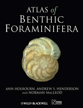 Atlas of Benthic Foraminifera. Norman Macleod