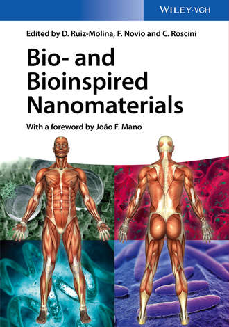 Daniel Ruiz-Molina. Bio- and Bioinspired Nanomaterials