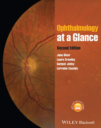 Jane Olver. Ophthalmology at a Glance