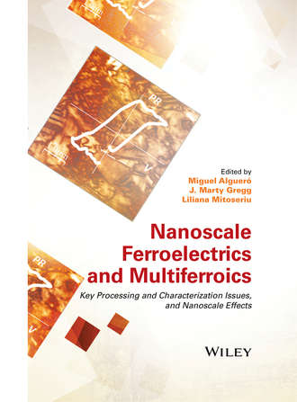 Группа авторов. Nanoscale Ferroelectrics and Multiferroics
