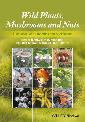 Группа авторов. Wild Plants, Mushrooms and Nuts