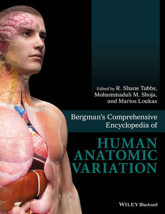 Группа авторов. Bergman's Comprehensive Encyclopedia of Human Anatomic Variation