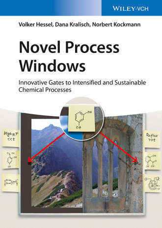 Volker  Hessel. Novel Process Windows
