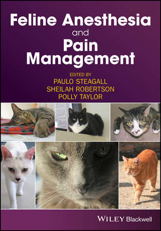 Группа авторов. Feline Anesthesia and Pain Management