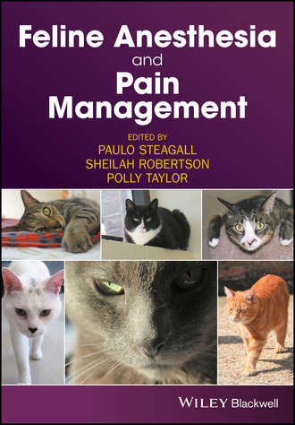 Feline Anesthesia and Pain Management. Группа авторов