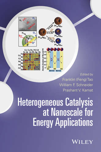 Franklin (Feng) Tao. Heterogeneous Catalysis at Nanoscale for Energy Applications