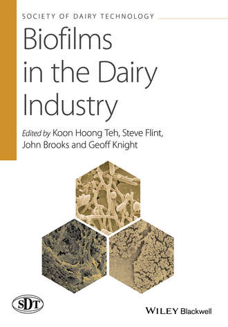 Группа авторов. Biofilms in the Dairy Industry