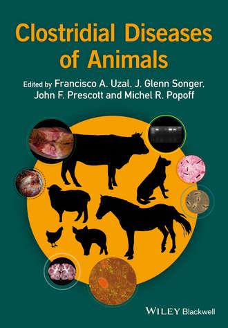 Группа авторов. Clostridial Diseases of Animals