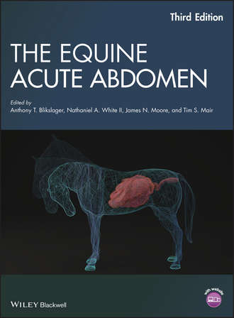 Группа авторов. The Equine Acute Abdomen