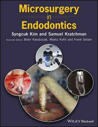 Группа авторов. Microsurgery in Endodontics