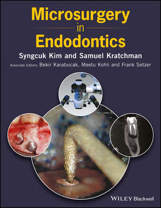 Microsurgery in Endodontics. Группа авторов