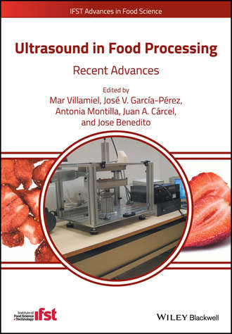 Группа авторов. Ultrasound in Food Processing