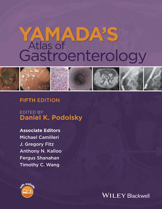 Группа авторов. Yamada's Atlas of Gastroenterology