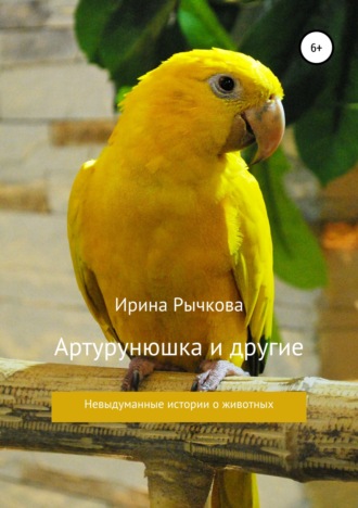 Ирина Александровна Рычкова. Артурунюшка и другие