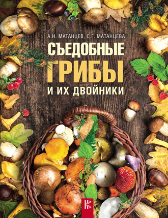 Съедобные грибы и их двойники. 