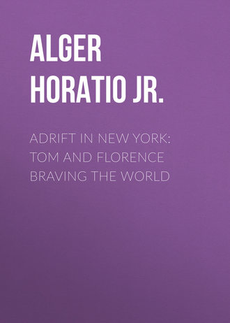 Alger Horatio Jr.. Adrift in New York: Tom and Florence Braving the World